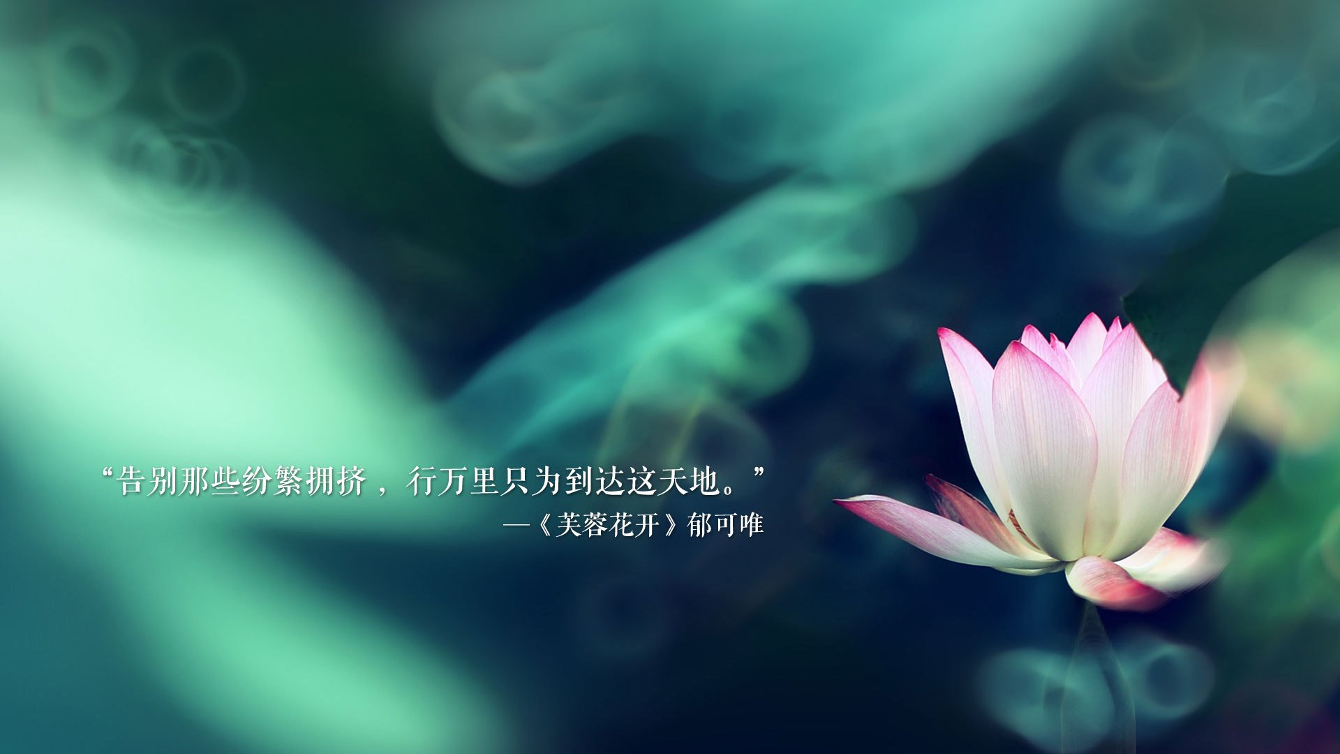 重磅真丝面料的好处(重磅真丝缎的优缺点)