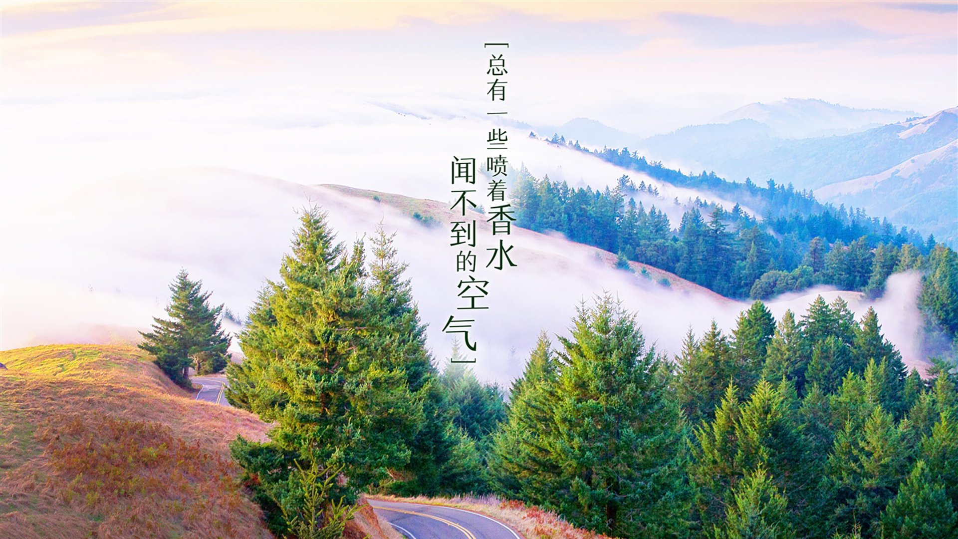 真丝面料的分类标准有哪些(真丝的分类和级别)